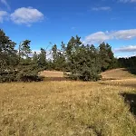 Goraca Bania Σπίτι διακοπών Gowidlino
