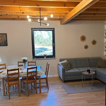 Дом отдыха Goraca Bania Gowidlino