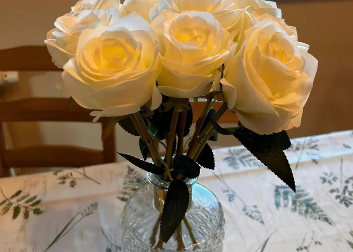 Дом отдыха Goraca Bania