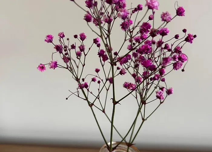 Дом отдыха Goraca Bania Gowidlino