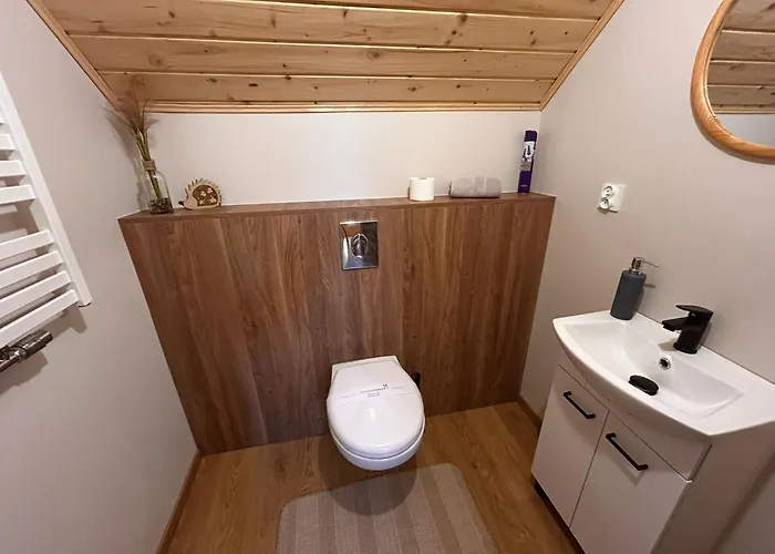 Дом отдыха Goraca Bania *