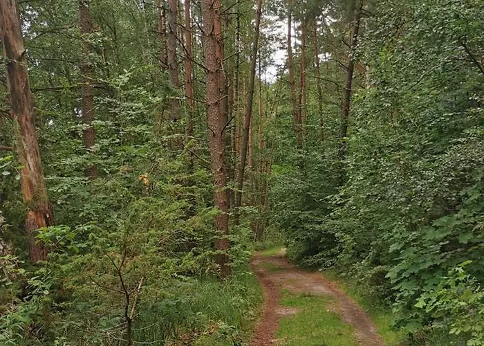 Goraca Bania * Gowidlino