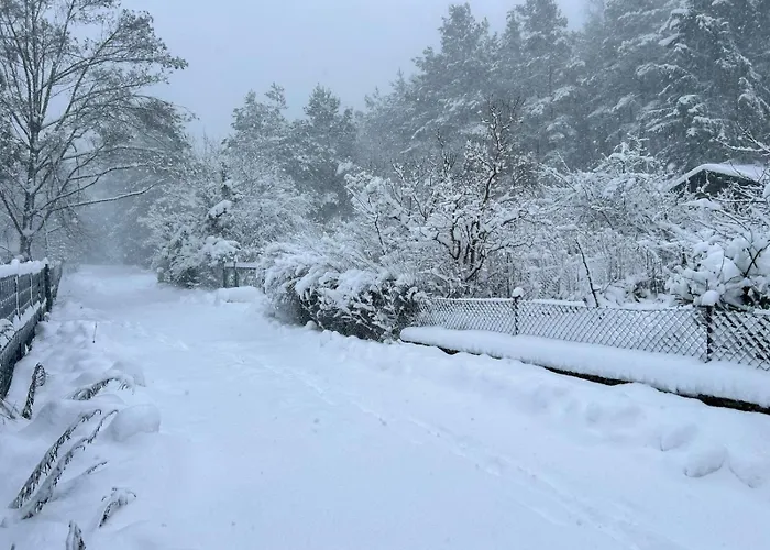 Дом отдыха Goraca Bania *